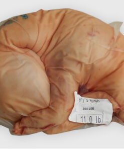 Suckling pig 10.4-11.0 lb