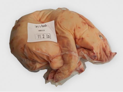 Suckling pig 11.2 11.6 lb