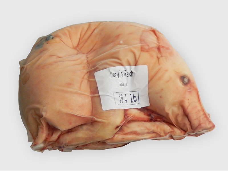 Suckling pig 15.4-16.0 lb