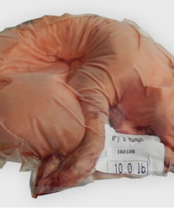 Suckling pig 9.8-102 lb